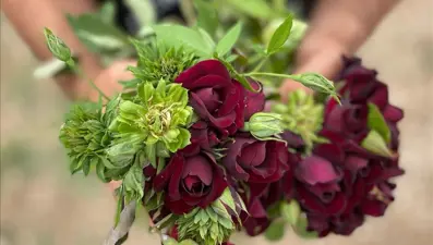 Halfeti 'yeşil gül' ile de anılmak istiyor