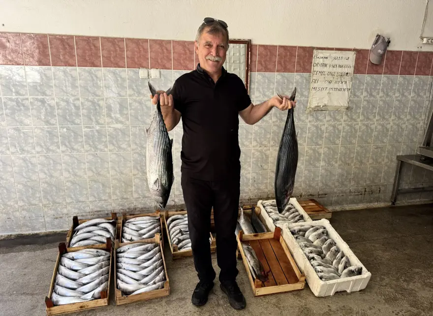 Balıkçıların yüzü güldü : 1 gecede yaklaşık 9 bin palamut 5