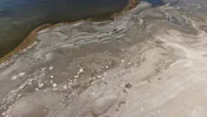 Son 30 yılda büyük çekilme yaşadı: Her geçen yıl biraz daha küçülüyor