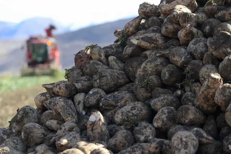 Yüzde 40 arttı: Çiftçilerden rağbet görüyor 