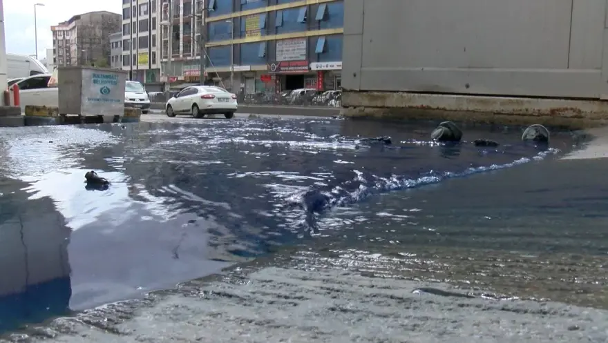 İSKİ'den 'mavi su' açıklaması: Çok sayıda ponza taşı çıkarıldı 2