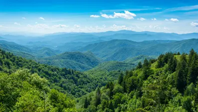 İzinsiz ağaç kesenlere binlerce lira ceza