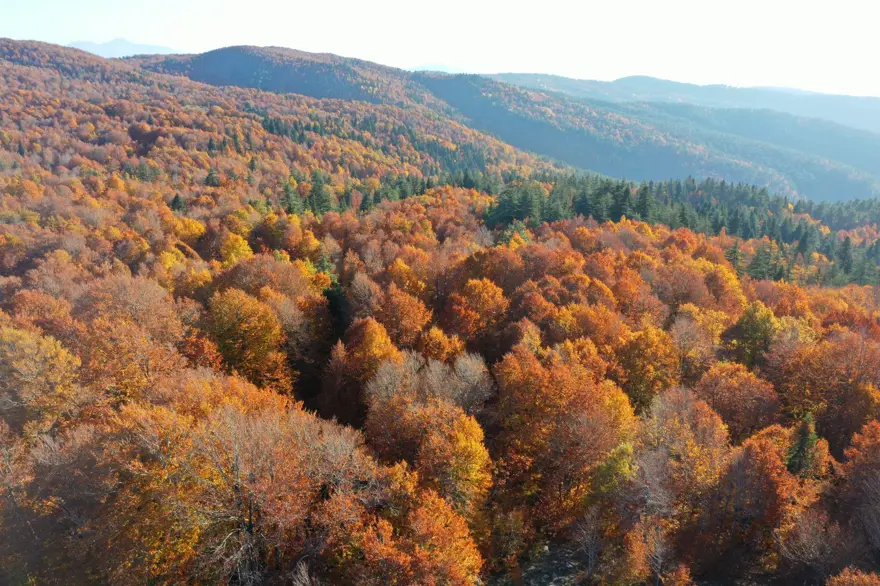Kahramanmaraş'taki Akifiye Yaylası'na sonbaharın renkleri hakim oldu 6
