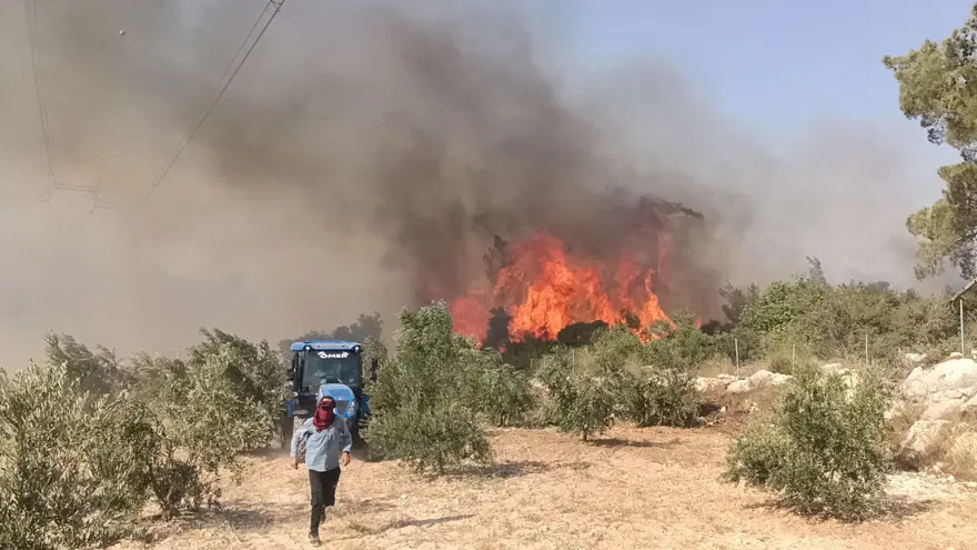 Türkiye güne yangınla başladı... 4 ilde orman yangını: Sıcaklıklar artıyor, iki güne dikkat! 
