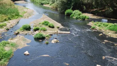 Ege'nin can damarı Gediz Nehri kimyasal atık kurbanı