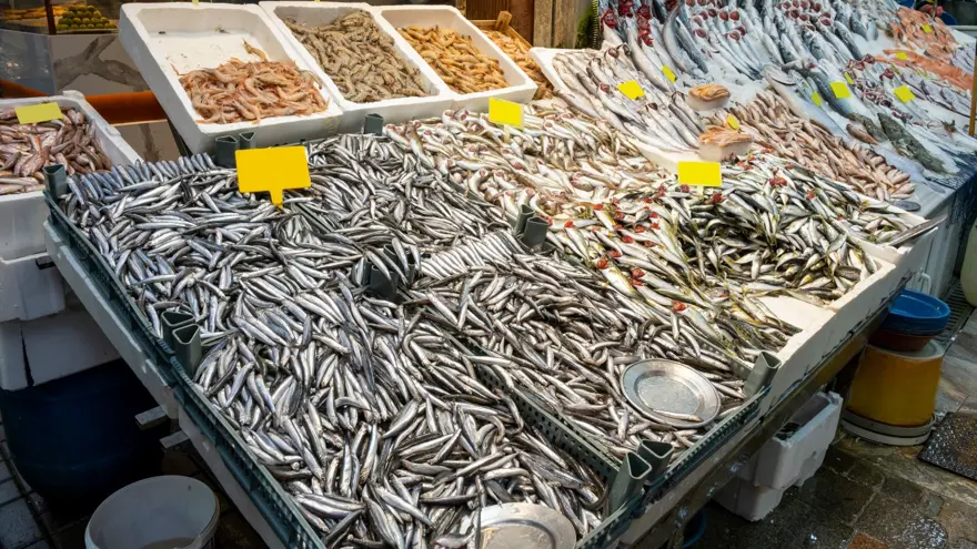 Soğuk havalar ona yaradı, bolluk başladı: Tezgahta gören akın etti 1