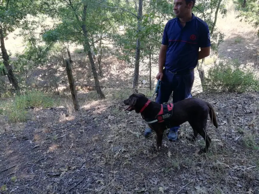 BÖLGEDEN GEÇEN 40 ARACIN SÜRÜCÜLERİ SORGULANDI 5