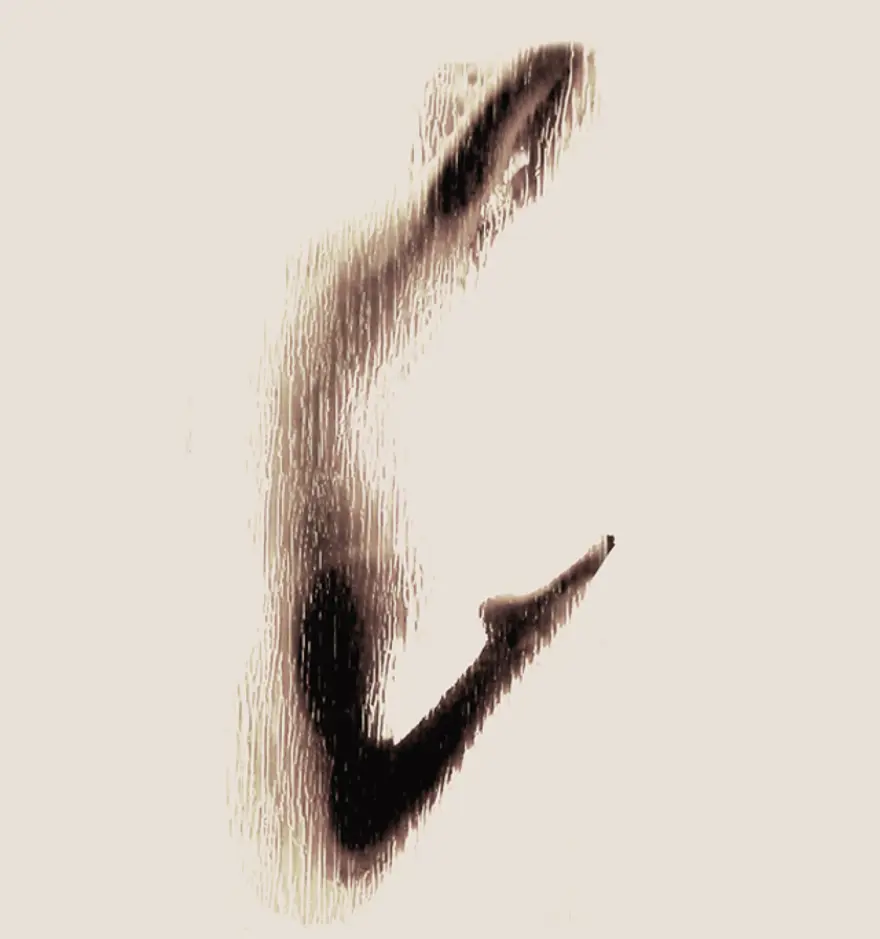 C 2