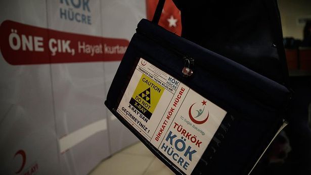 Kök hücre nedir, ne işe yarar? Kök hücre bağışçı aday sayısı 2 katı arttı, nakil profesörü de donör arıyor