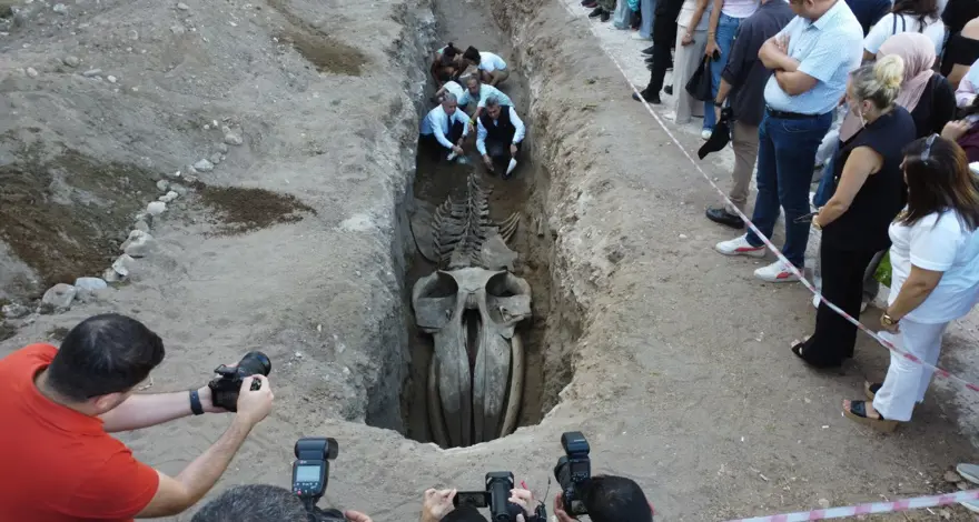 Mersin'de heyecanlandıran keşif! 16 metrelik balina ortaya çıkıyor 5 Mersin'de heyecanlandıran keşif! 16 metrelik balina ortaya çıkıyor 5