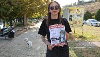 Kedisi kayboldu, bulana 100 bin lira ödül verecek: "3 gündür ağlamaktan uyuyamıyorum"