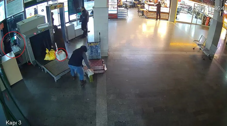 Otogarda şoke eden olay: Kutunun içinden yasaklı maymun çıktı 1