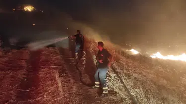 Diyarbakır’da orman ve örtü yangını