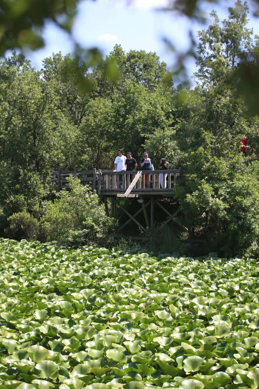 "GÜNDE 3 SAAT SU VEREBİLİYORUZ" 4 "GÜNDE 3 SAAT SU VEREBİLİYORUZ" 4