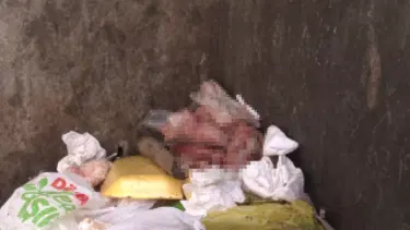 İstanbul'da çöp konteynerinde yeni doğmuş bebek cesedi bulundu