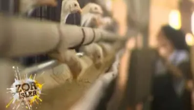 Zor İşler 7. Bölüm