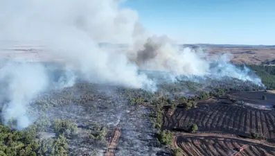 Çorum’da arazi yangını ormanlık alana sıçradı