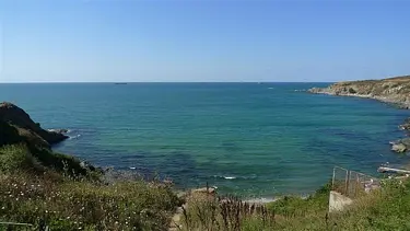 Kaçak yapılaşma ve martılar