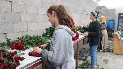 Gül üreticilerinin Sevgililer Günü mesaisi