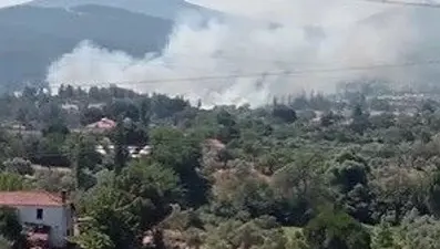 Yatağan’da sazlık alanda yangın