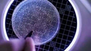 Bilim insanları kana susamış "vampir bakteriler" keşfetti