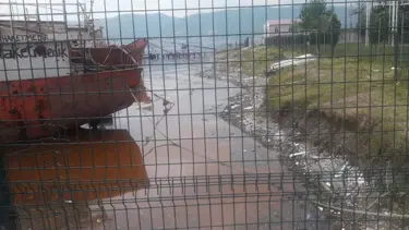 "Alg patlaması" denizin rengini değiştirdi