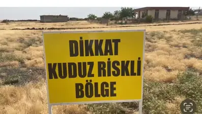 Şanlıurfa'da bir kuduz vakası daha