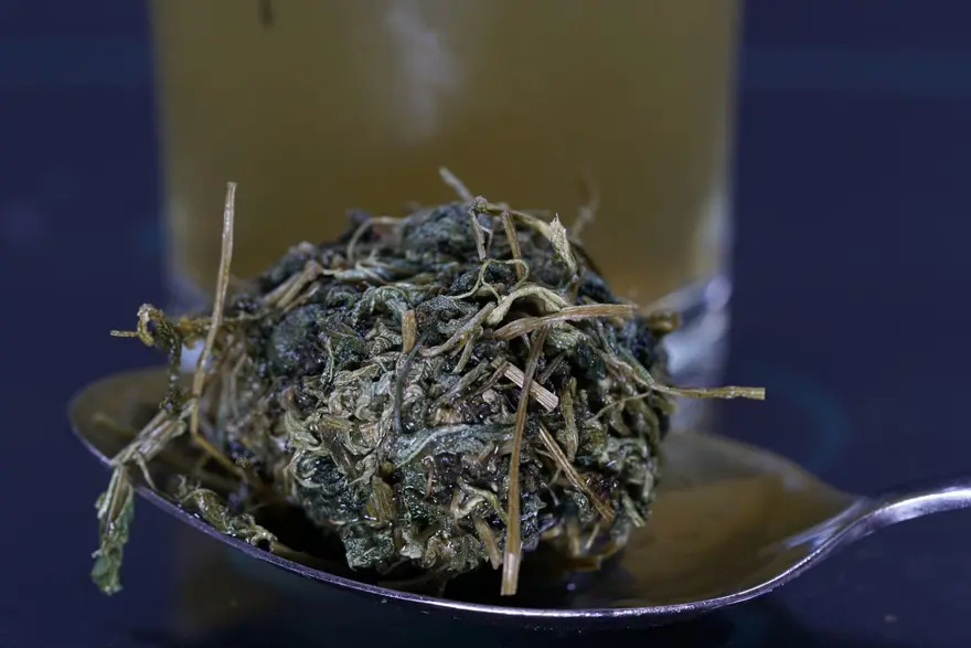 ''Ölümsüzlük otu'' olarak da biliniyor: İç hastalıkları uzmanı ısrarla tavsiye etti ''Ölümsüzlük otu'' olarak da biliniyor: İç hastalıkları uzmanı ısrarla tavsiye etti