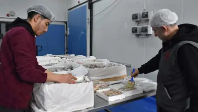 Balıkçılar limana erken döndü: Av sezonuna iklim değişikliği etkisi