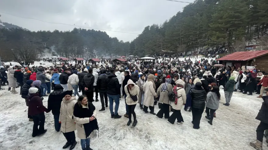 Abant'ta hamsi festivali: 2 ton balık tüketildi 2