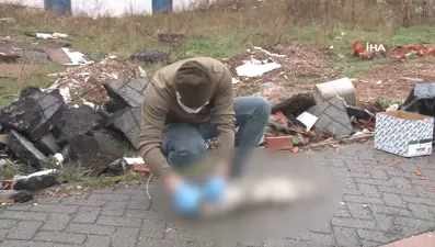 Boynundan ağaca asılmış halde bulundu