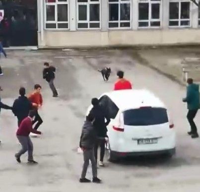 Pitbull okuldaki çocuklara saldırdı: 5 yaralı