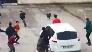 Pitbull okuldaki çocuklara saldırdı: 5 yaralı Pitbull okuldaki çocuklara saldırdı: 5 yaralı