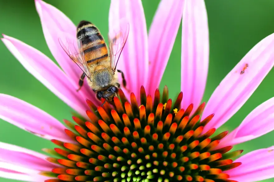 Sıcakta böyle serinliyorlar 22 Sıcakta böyle serinliyorlar 22