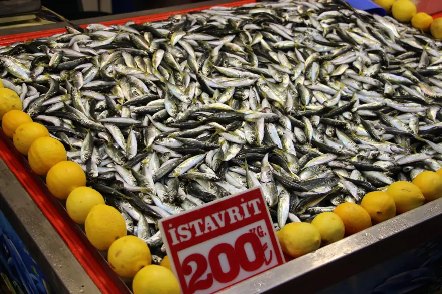 Fiyatı düştü, talep arttı: "Son 10 yıldır böylesi gelmedi" 1