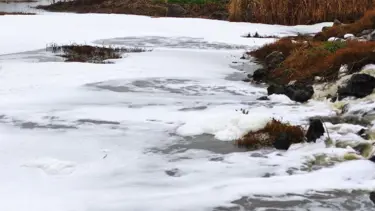 Uluabat Gölü tarım ilaçları nedeniyle köpürdü