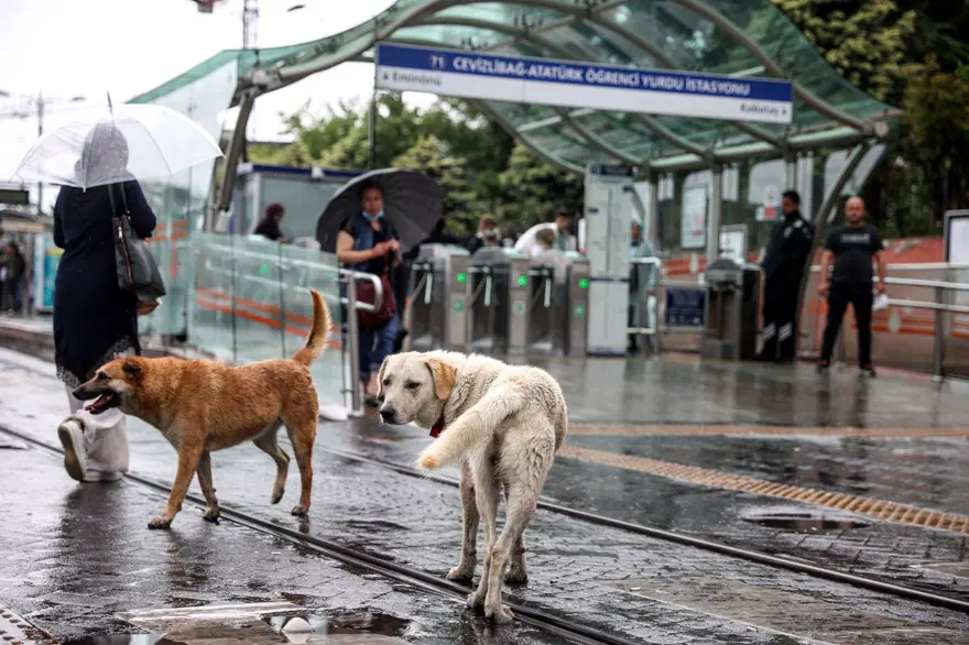 İstanbul'da sağanak yağış devam ediyor: Meteoroloji uyarmıştı 4
