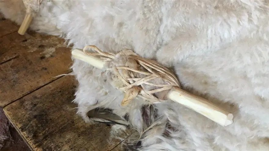 Kars'ta her mevsim kaşar ve tulum peyniri üretimi: Üç gün tuzda kalıyor, iki ay depoda bekliyor 12