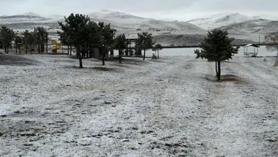 Erzurum'da kar yağışı başladı