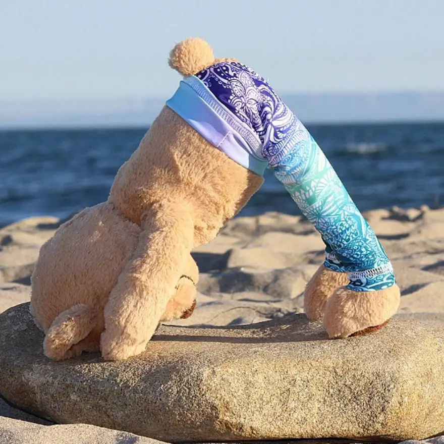 İnternetin yeni fenomeni Yogi Ayı Meddy Teddy 8
