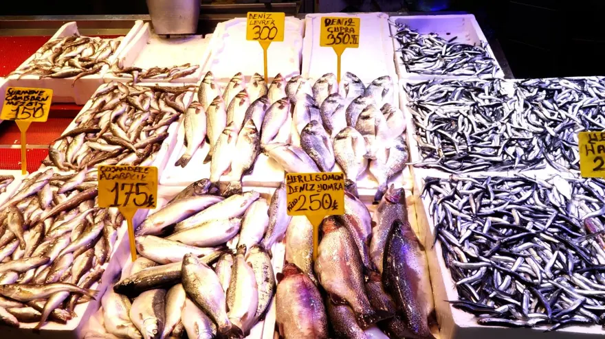 Balıkçılar, "Vira bismillah" diyerek denize açıldı: Tezgahtaki bolluk sürüyor 6