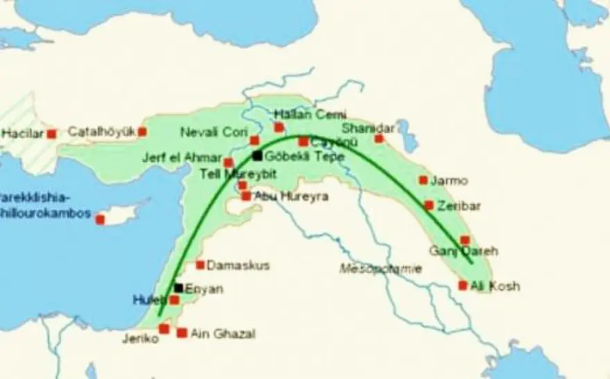 Kedilerle ilgili yeni keşif: Anavatanı Mezopotamya mı? 1