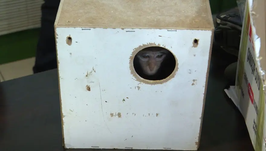 TUTANAK HAZIRLANDI 3