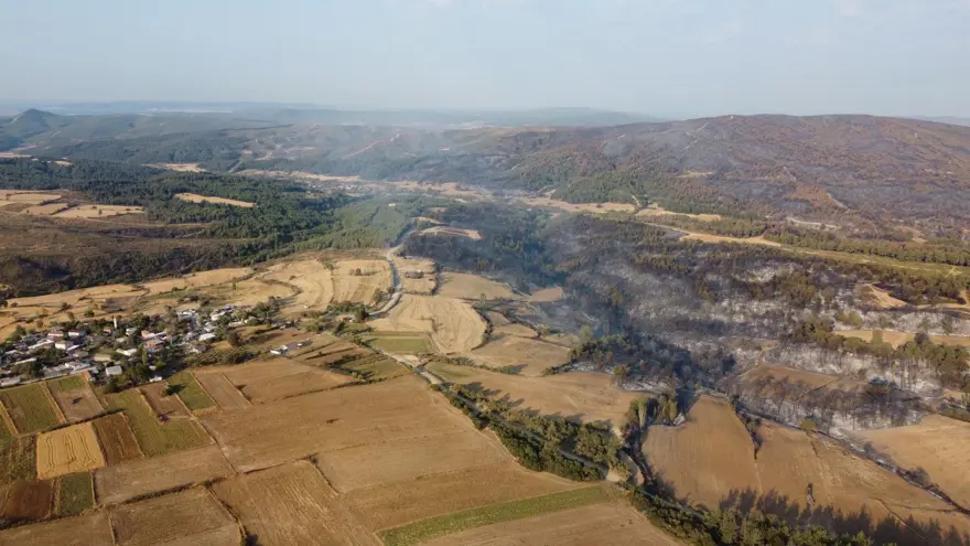 Çanakkale orman yangını kontrol altında: Yanan alanlar griye döndü 2