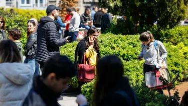 Depremde iletişim sorunu masada: Japonya'daki model Türkiye'ye gelecek