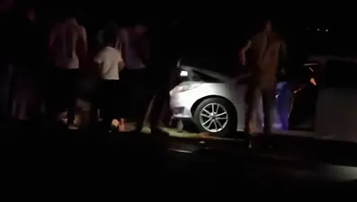 Van'da otomobil sürüye çarptı: 8 koyun öldü