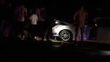 Van'da otomobil sürüye çarptı: 8 koyun öldü