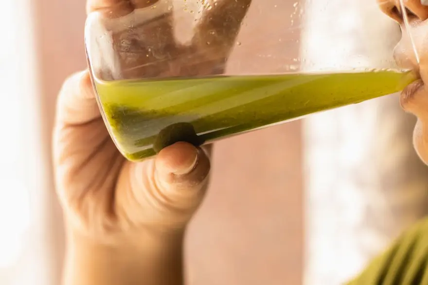 4- SALATALIK VE NANE SUYU 4 4- SALATALIK VE NANE SUYU 4