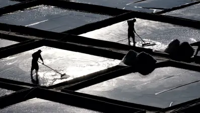 Magnezyum, mineral, potasyum zengini: Dağlardan sofralara geliyor