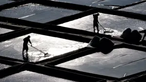 Magnezyum, mineral, potasyum zengini: Dağlardan sofralara geliyor